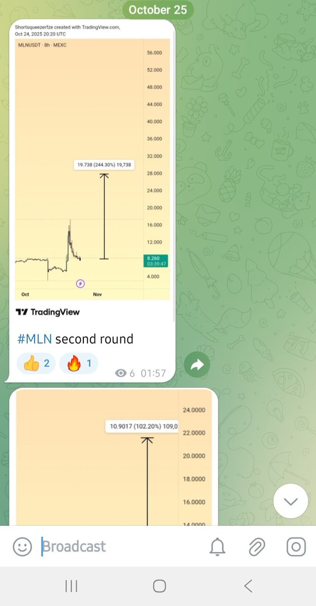 【Sサイズ】BTC 2インチ Fast Short Short Squeezer on X