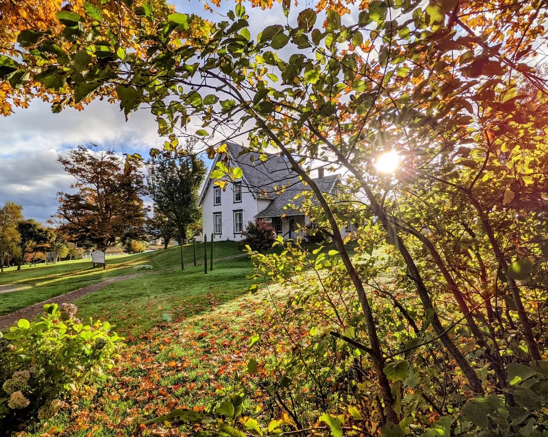 “I’m so glad I live in a world where there are Octobers.”   
- Anne of Green Gables, written by Canadian author Lucy Maud Montgomery  🍁🍂

What is your favourite #October activity?

📸 bernadetamilewski/IG