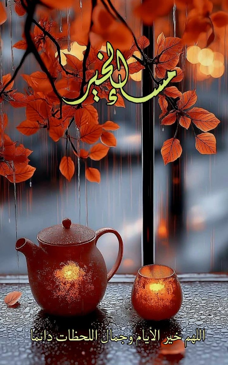 ✨مساء الخير✨