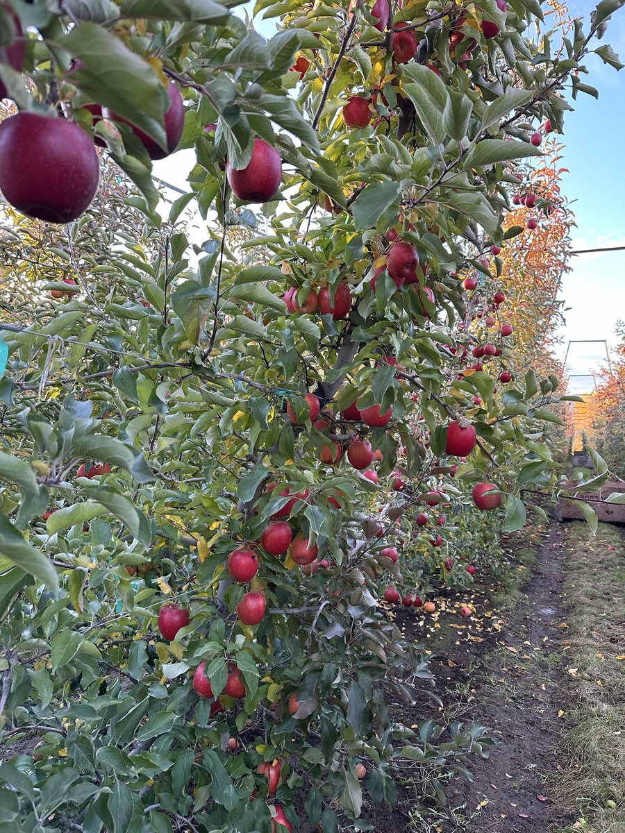 Eric Patrick tweet media