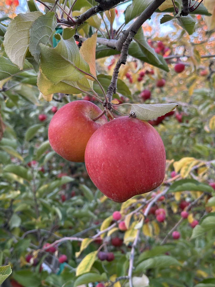 Eric Patrick tweet media