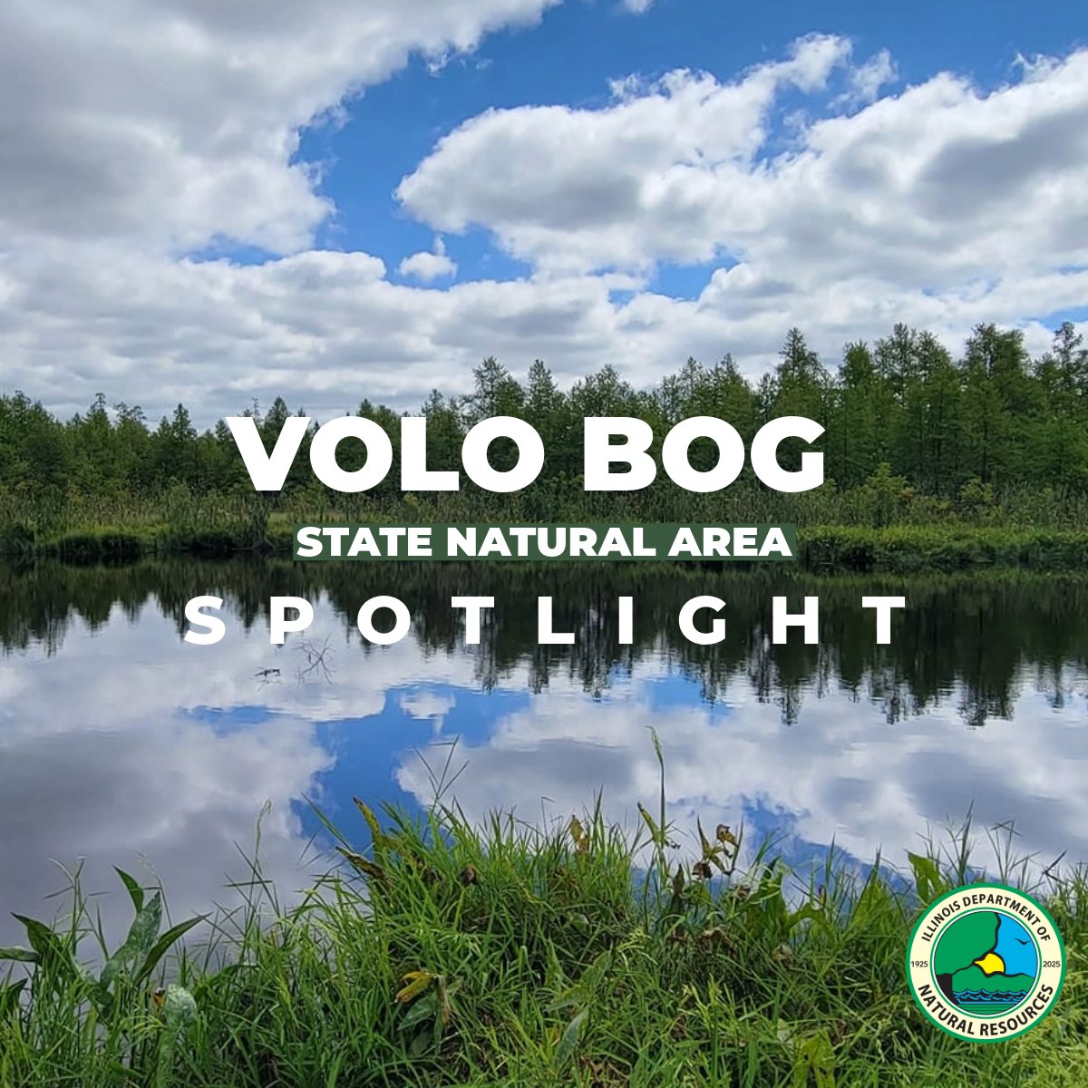 IDNR is highlighting Illinois’ beautiful and unique state parks in a monthly social media feature, “Spotlight on Illinois State Parks.” This week we’re featuring Volo Bog State Natural Area in Lake County.
 #ILStateParks #VoloBog #illinoisdnr
