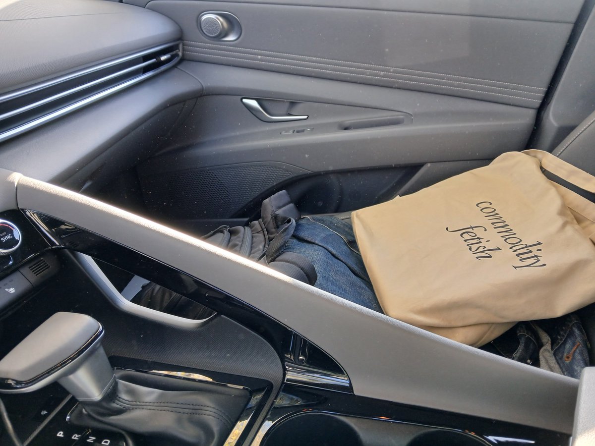 Rental car features a divider between driver and passenger. I'm trying and failing to come up with a normal explanation for this design choice