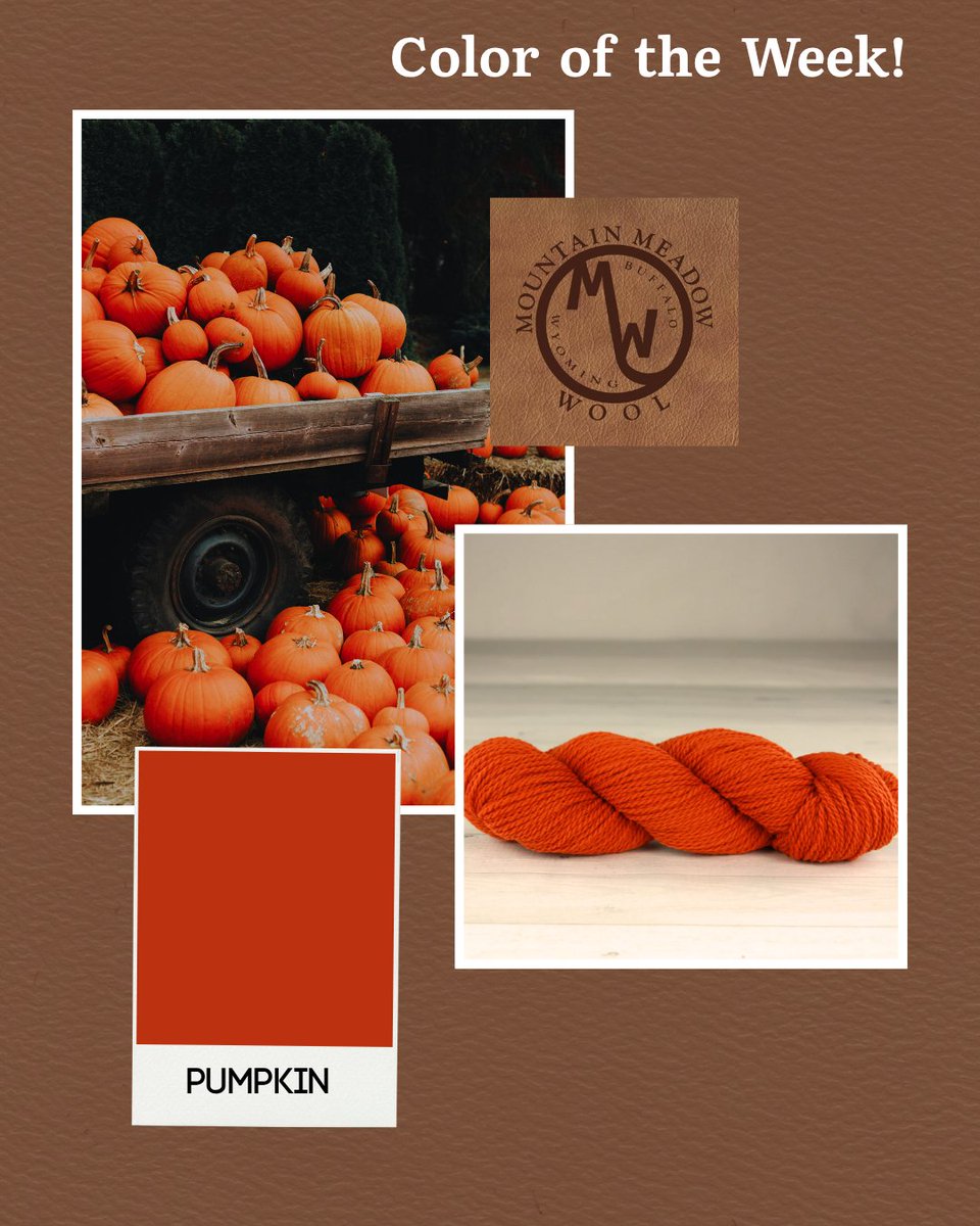 MtnMeadowWool's tweet image. Color of the Week: Pumpkin 🎃✨ Cozy up your wool projects with this warm autumn shade, perfect for sweaters and scarves! #ColorOfTheWeek #AutumnVibes #WoolLovers #SweaterWeather #MountainMeadowWool #USAMade