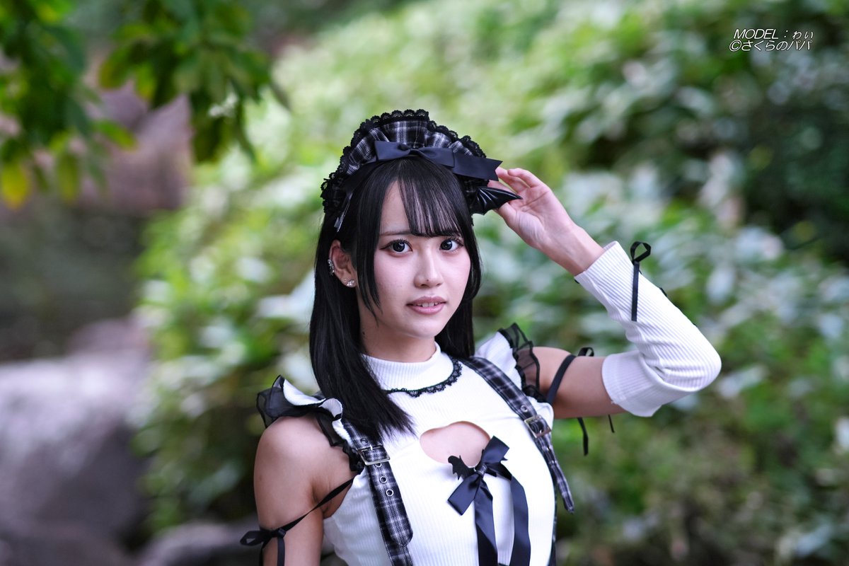 🇺🇦さくら🐇のパパ🇺🇦高配当株に移行中🇺🇦 on X