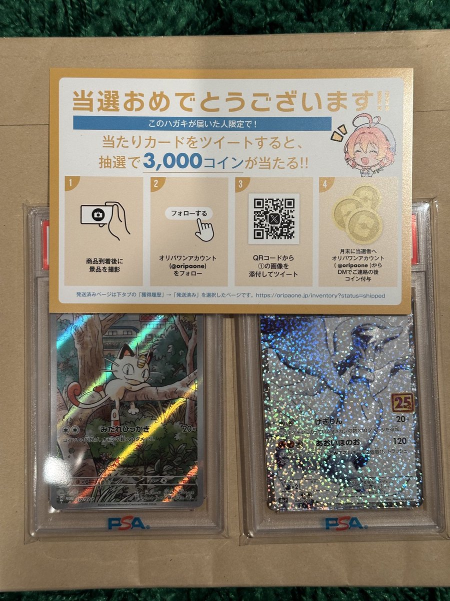 ドリパケ　おまけ多数❗️ オリパご案内ッ 😈6000円 全45p 🐉4000円 全100p 💓1000円 全162p