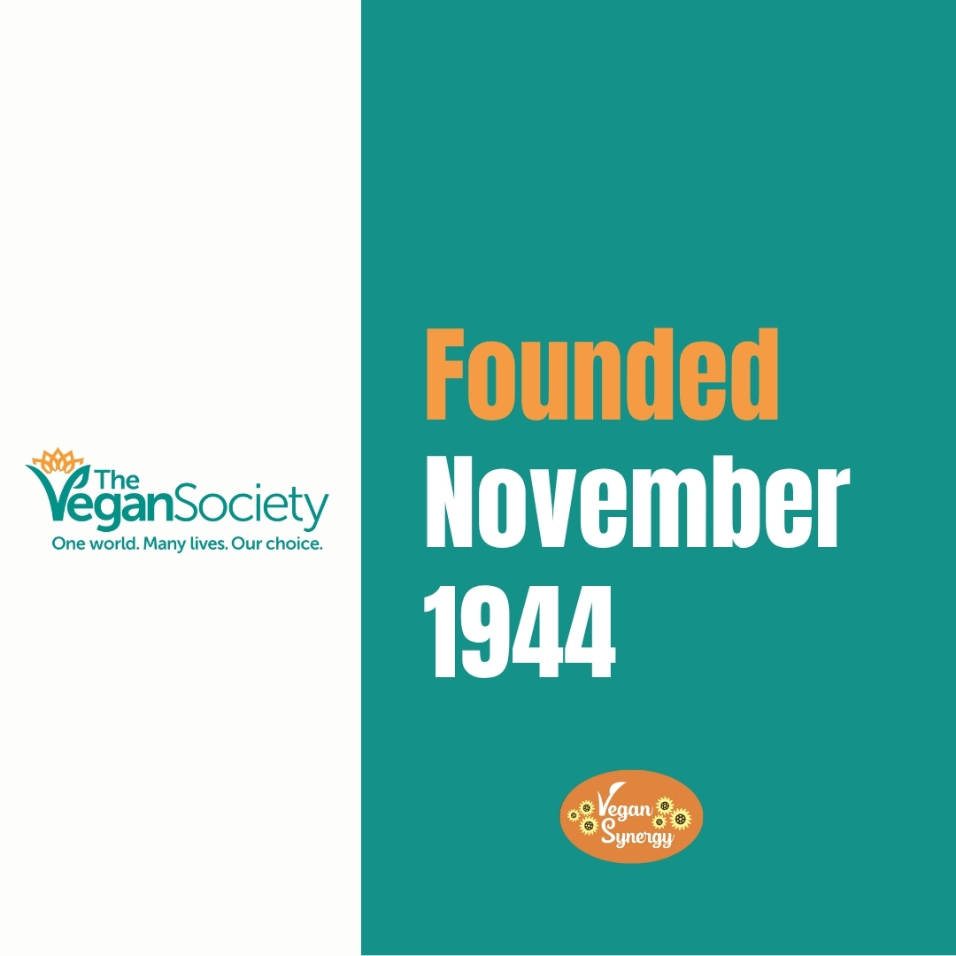 Our Vegan Synergy friends <a href="/TheVeganSociety/">The Vegan Society</a> were founded in November 1944. Find out more about them and the great work that they do in promoting veganism at vegansociety.com.  Find out about all of our great Vegan Synergy orgs at americanvegan.org/vegan-synergy/
#vegansynergy #vegan