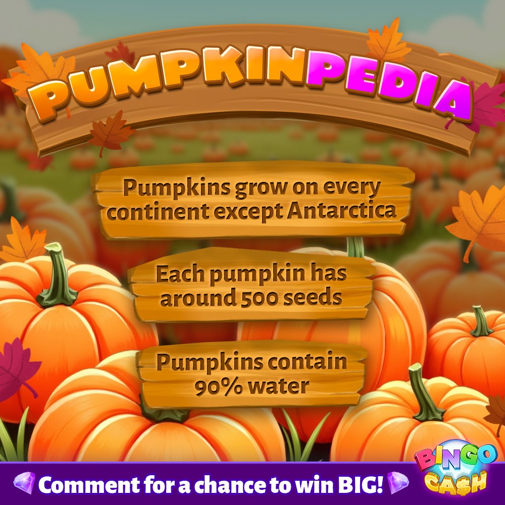 bingocash's tweet photo. How much do YOU know about Pumpkin Day? π
Check out the image for some #smashing pumpkin facts! π‘
Now tell us β whatβs your fave pumpkin recipe? π₯§
π² < https://t.co/uKL4vTYbS1
#BingoCash #CashWins #PumpkinDay #FallVibe https://t.co/RJY6c6DBhb