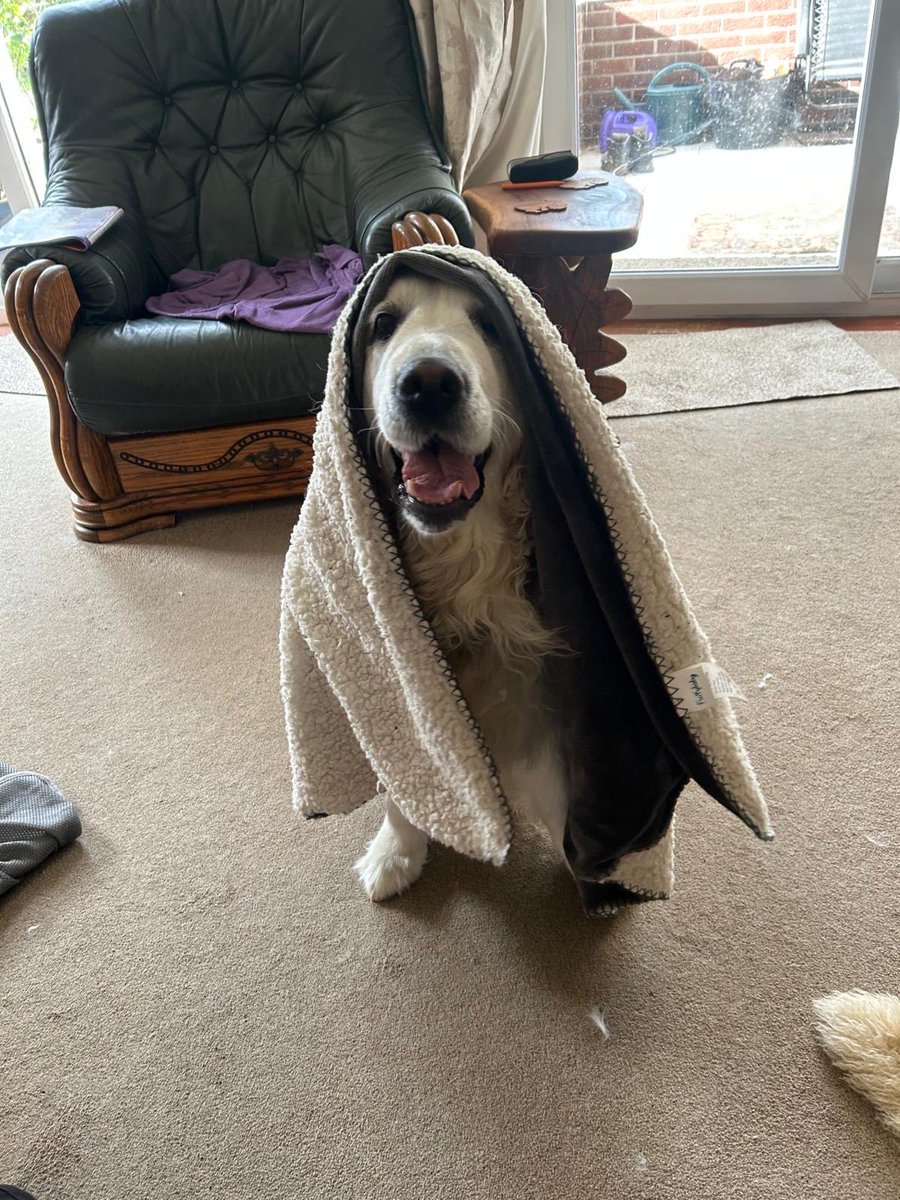 Getting ready for Halloween 👻