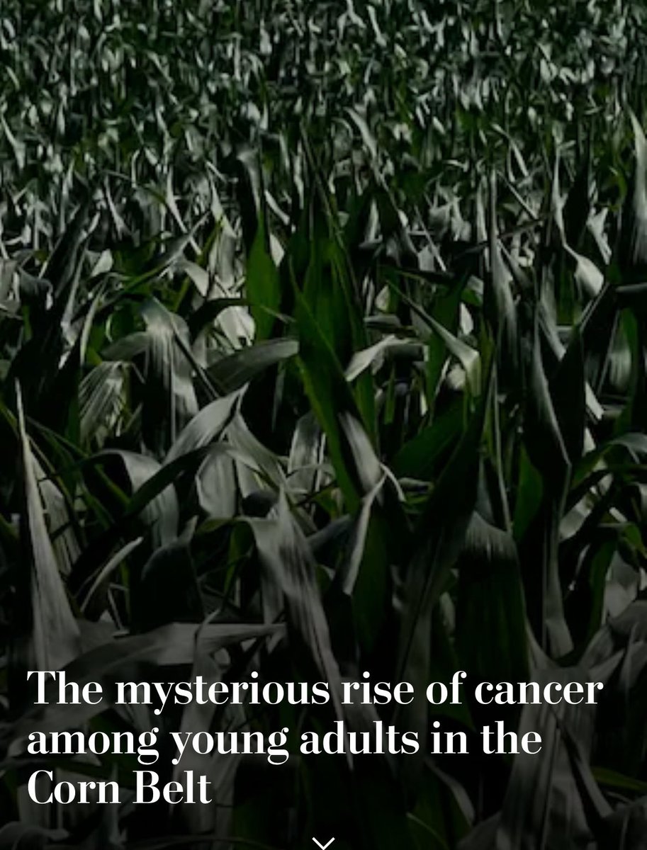 Nobody could have predicted a massive cancer outbreak in states that grow massively-chemically-dosed corn crops so the car industry can pretend to care about the environment.

We really sacrifice everything so the car industry can stay in business.