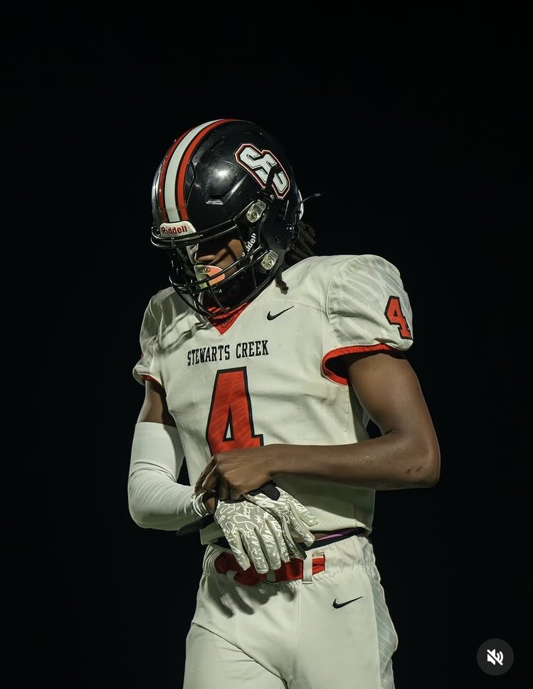 Dallas Johnson tweet media