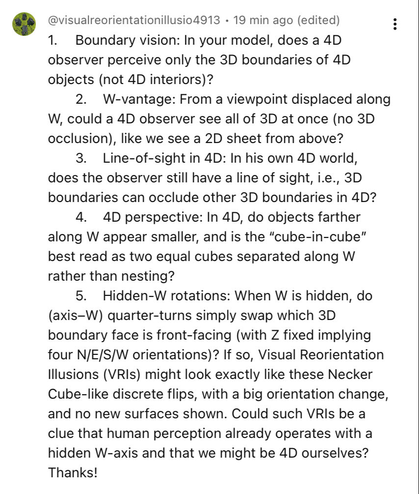 I asked HyperCubist Math some more questions about his Part 3 Visualizing 4D video. 

youtu.be/bAinj6lcv_4
