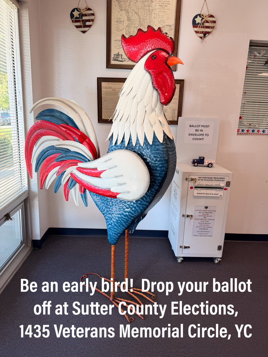 Sutter Co. Elections tweet media