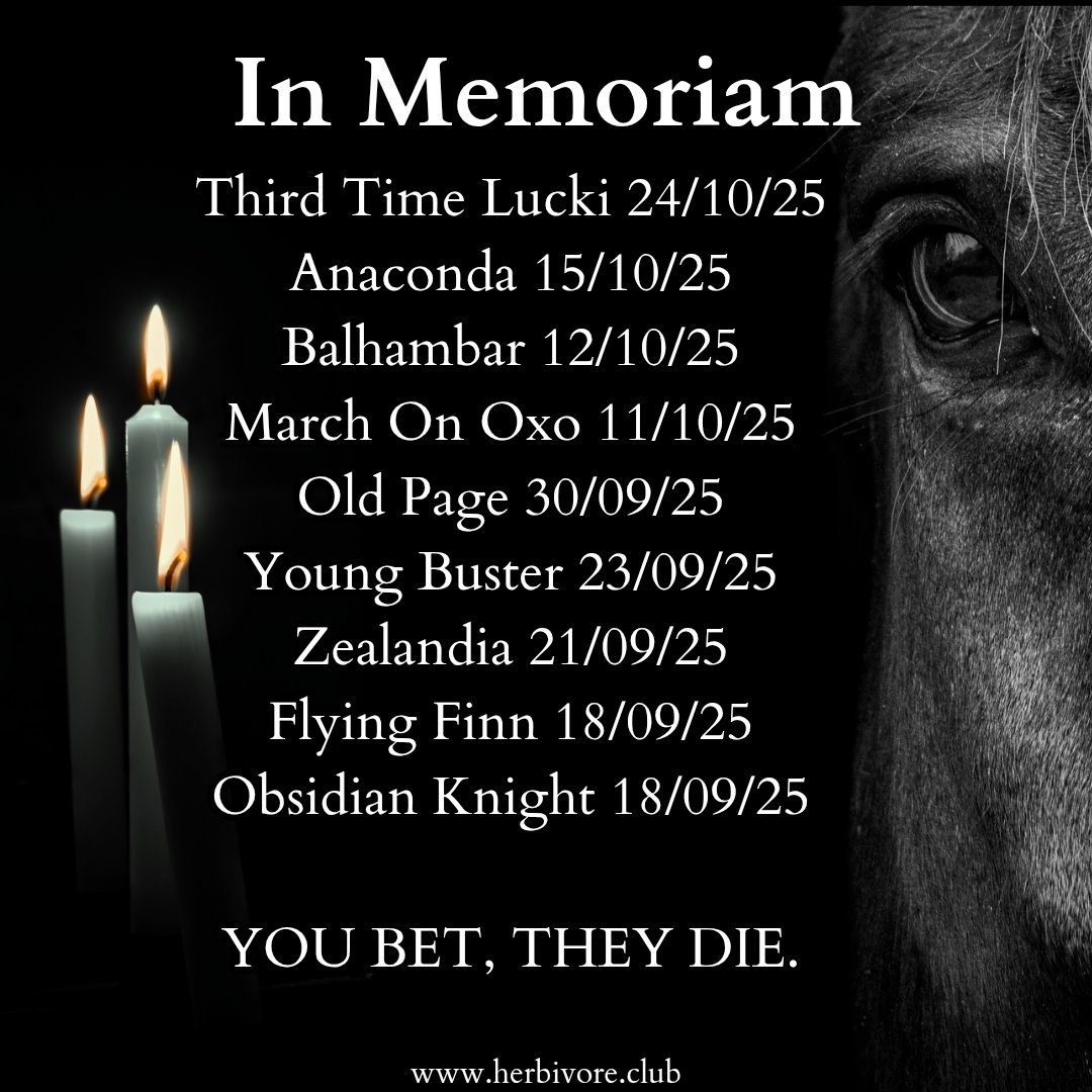 Third Time Lucki has joined the recent victims of British horse racing. They were killed following an injury at Cheltenham on the 24th of October 💔

#YouBetTheyDie 🏇