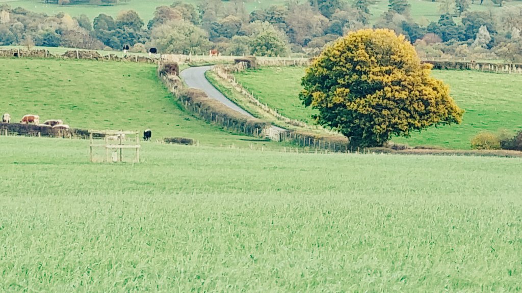 Moira Benson 🚙 tweet media