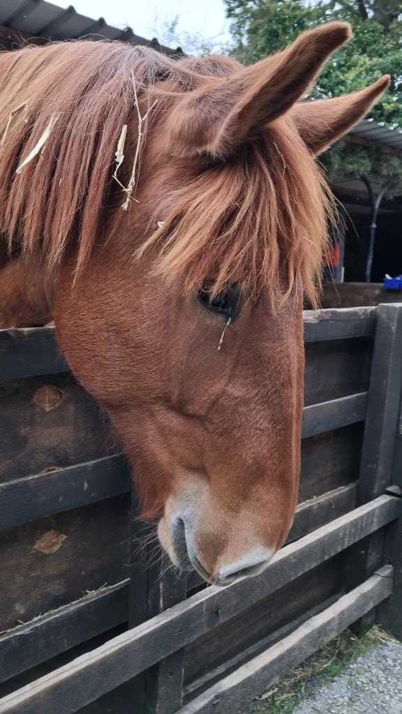 Moira Benson 🚙 tweet media