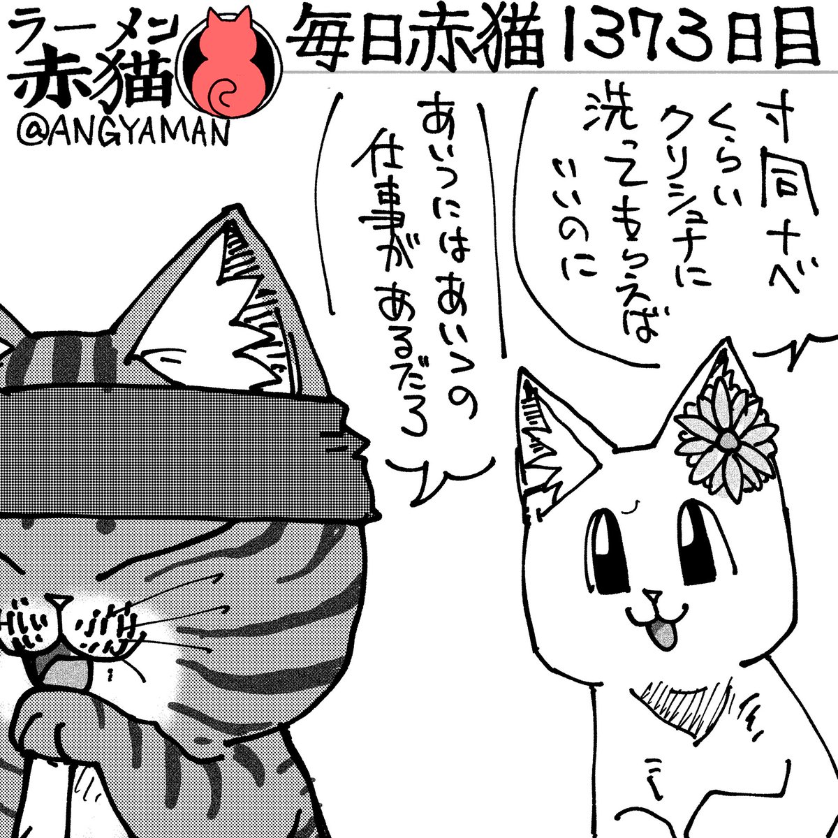 赤猫 杏 赤猫 杏 赤猫 杏 (@akanekoanzu) / X