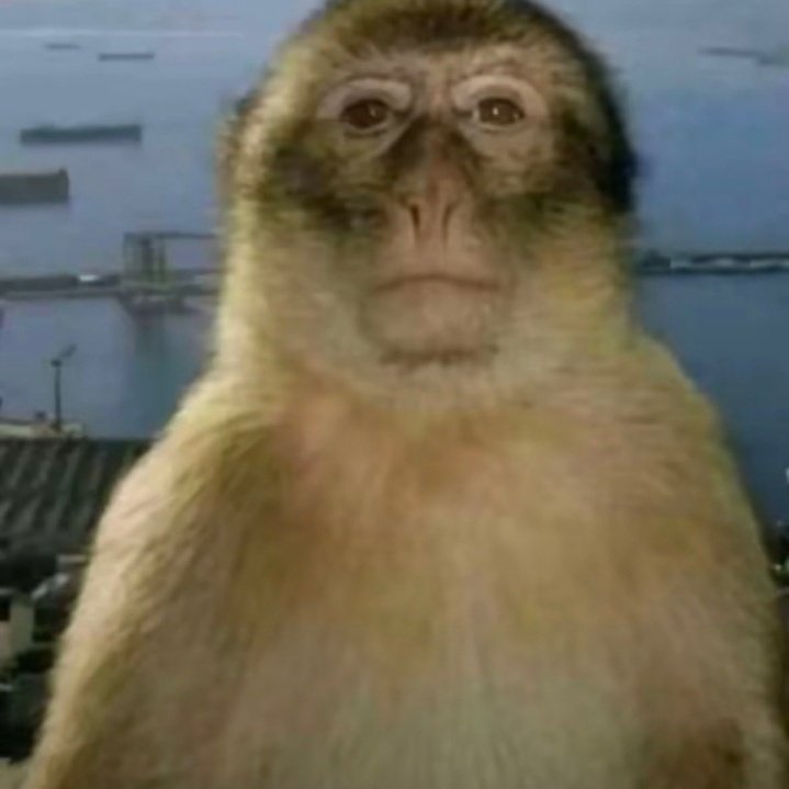 DiaryOfNoir🚬 tweet media