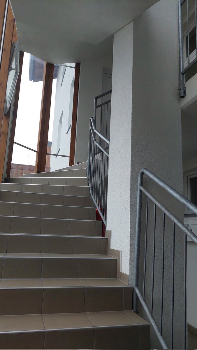 freudspendulum's tweet image. #tdy