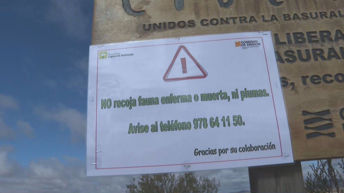 🚜🎙️📻  𝗖𝗼𝗻𝗳𝗶𝗿𝗺𝗮𝗱𝗮 𝗹𝗮 𝗽𝗿𝗲𝘀𝗲𝗻𝗰𝗶𝗮 𝗱𝗲 𝗴𝗿𝗶𝗽𝗲 𝗮𝘃𝗶𝗮𝗿 𝗲𝗻 𝗮𝘃𝗲𝘀 𝘀𝗶𝗹𝘃𝗲𝘀𝘁𝗿𝗲𝘀 𝗱𝗲 𝘃𝗮𝗿𝗶𝗼𝘀 𝗽𝘂𝗻𝘁𝗼𝘀 𝗱𝗲 𝗔𝗿𝗮𝗴𝗼́𝗻.
📻  Nos lo han contado hoy en ❜𝗗𝗲 𝗽𝘂𝗲𝗿𝘁𝗮𝘀 𝗮𝗹 𝗰𝗮𝗺𝗽𝗼❜ 𝗱𝗲 𝗔𝗿𝗮𝗴𝗼́𝗻 𝗥𝗮𝗱𝗶𝗼.
📻