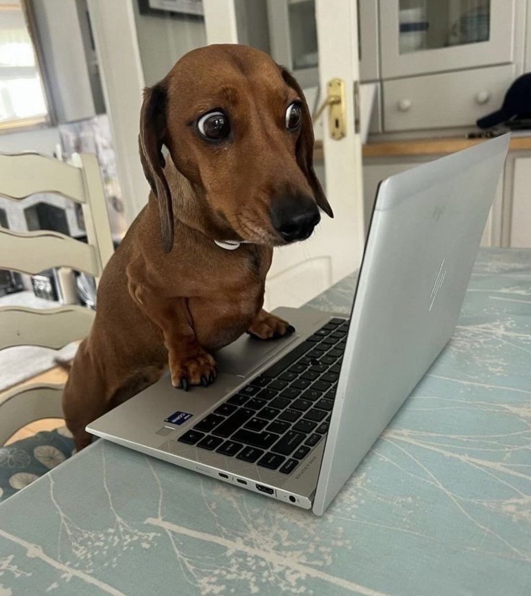 Nosotros esperando el anuncio #PatriaYFamilia