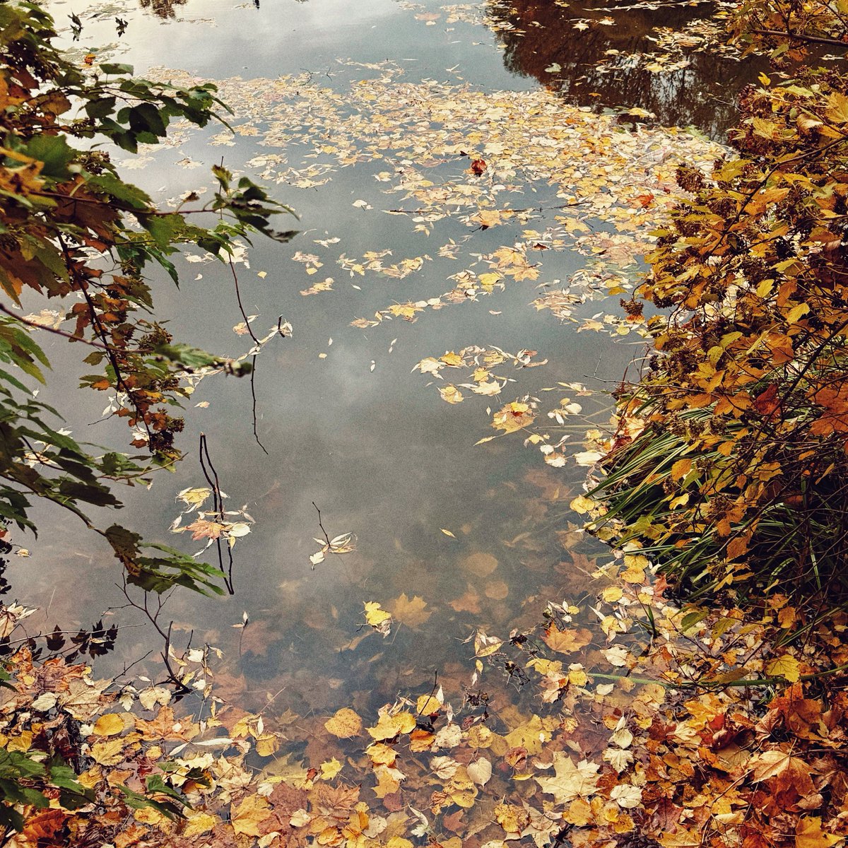 dchuiko's tweet photo. October was sweet https://t.co/jVH38AdCvr