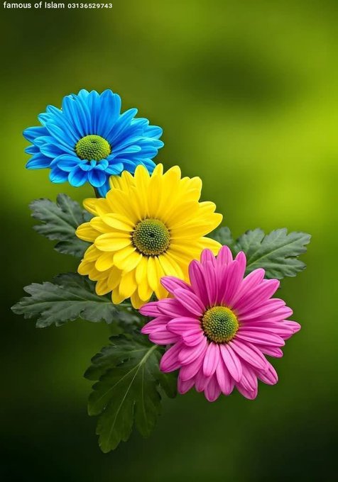 <a href="/p_734j/">♕︎الـرَّحـالُ الْـشُّـ؏ـيبــي♕︎</a> <a href="/7qqmr/">𝓦𝓐𝓐𝓓 2</a> <a href="/2J9Jl/">شجن 'ے</a> <a href="/1___A_1/">آلَälṩúĶúٍñكَوُنـــــــٌ ♡🇸🇦</a> <a href="/Y_O_U_S_1/">✨️ YOUSIF ✨️</a> <a href="/swdmd42233/">ابن عمان</a> <a href="/FBI_1777/">𝒎𝒖𝒉𝒂𝒎𝒎𝒂𝒅 𝒉𝒂𝒓𝒐𝒐𝒏🙏🌹💕🫰❤️</a> @EbrahimSelim11 <a href="/lxlj6/">✈︎إِبـْـــنُ الـــدَوْلَــةِ♕︎␈</a> <a href="/133i1/">☼︎𝑫𝒆𝒎𝒐𝒄𝒓𝒂𝒕 عَـیْنَمّْ</a> <a href="/bdhbdhbdh295616/">عبده</a> <a href="/A_nse14/">ابوعماد</a> <a href="/hadihusein786/">༺۵❃⁮✧⃝♓🅰️𝖉ℹ️❃⁮✧⃝۵༻❤️🤍</a> <a href="/profsueare/">البروفسير</a> <a href="/FthiAlrdfany/">فتحي الردفاني</a> <a href="/b_ngsh12/">✯𝓐𝓛𝓘 𝓚𝓗𝓐𝓝 𝓑𝓐𝓝𝓖𝓐𝓢𝓗✯🇵🇰 ⚔️🦌</a> <a href="/MWaseembhatti3/">M.Waseem Bhatti</a> <a href="/ta36615/">Rana Abdullah</a> <a href="/joelbroownii/">Joel Chuma</a> <a href="/abwwhyb55/">رياض أبن لحيدرى</a> <a href="/GecginVeys24417/">vys vey</a> <a href="/zhra196/">مشاريع تخرج. رسائل . ماجستير. ورقة علميه.</a> موفقين نجوووم الشعيبى ✨👑
✨🔥✨🔥✨

#مجموعة_عبدو_للدعم
#دعم_الشعيبي