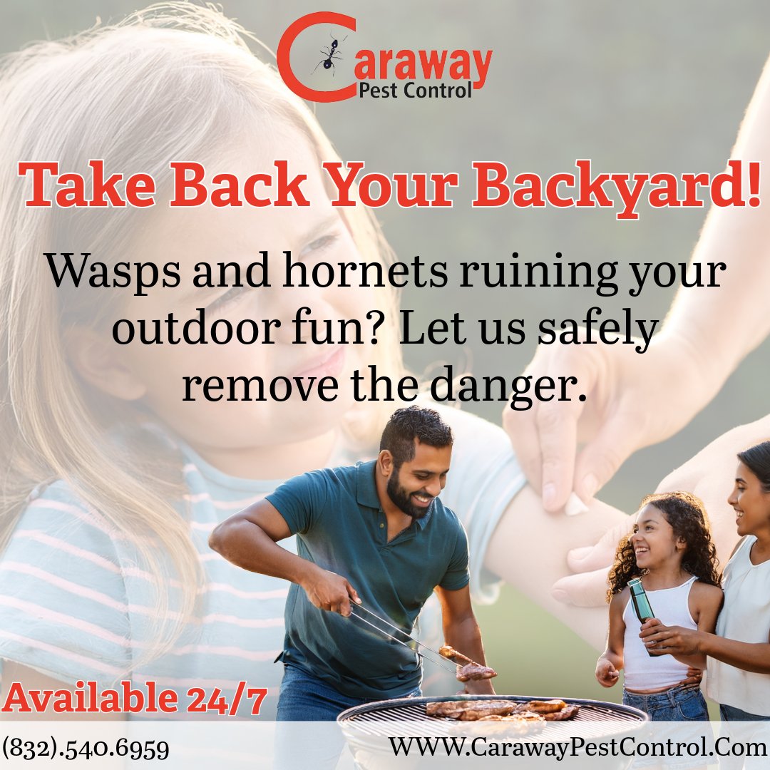 CarawayPestCont's tweet image. Take back your backyard with our fast and effective wasp &amp;amp; hornet control.
Relax, grill, and enjoy your space—sting-free. 🌞🍹

832.540.6959

#backyardbliss #waspfreezone #hornetcontrol #outdoorliving #enjoyyouryard #pestfreehome #bbqready #bugfreebackyard #staystingfree