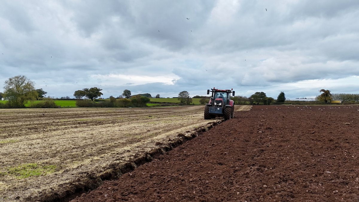 spj1958's tweet image. #keyworkers #loveukweather 🚜