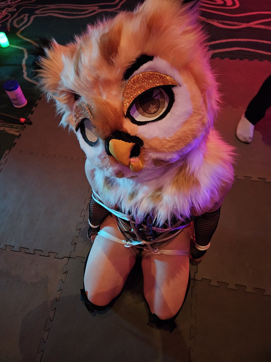 You've got a good little owl all tied up. Now, what are you going to do with him?
📷: <a href="/BeakyPlant/">🔞fyrn.wtf🔞</a>