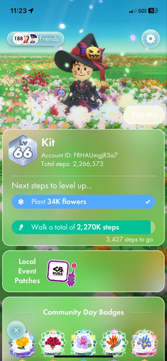 1 year of pikmin bloom
