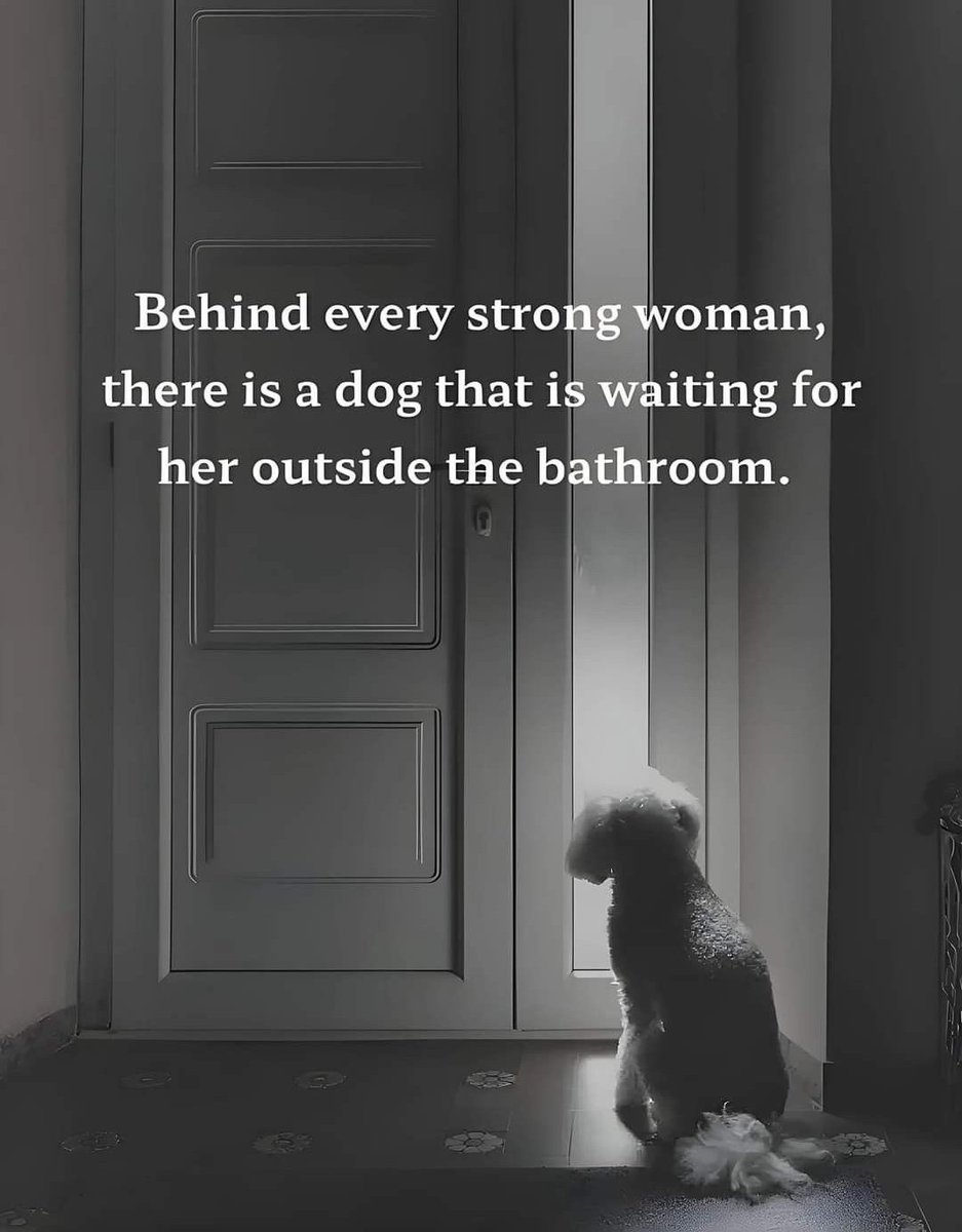 Dalbodog's tweet photo. https://t.co/dlmSR52N2q