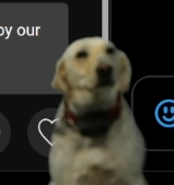 Say Hey there dog to doggie or have a terrible November.