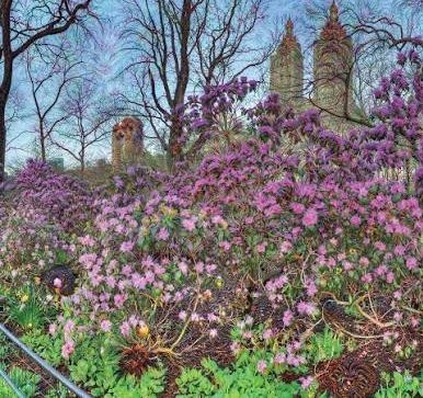 You are blessed, if you know this place 😉😆