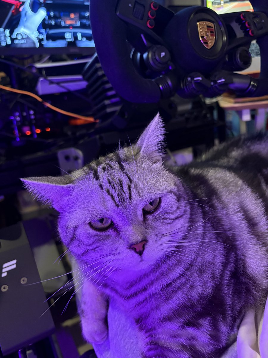 Netiwut's tweet image. はじめまして、しぐるるさん、スティーブです。😆　@sigreruru