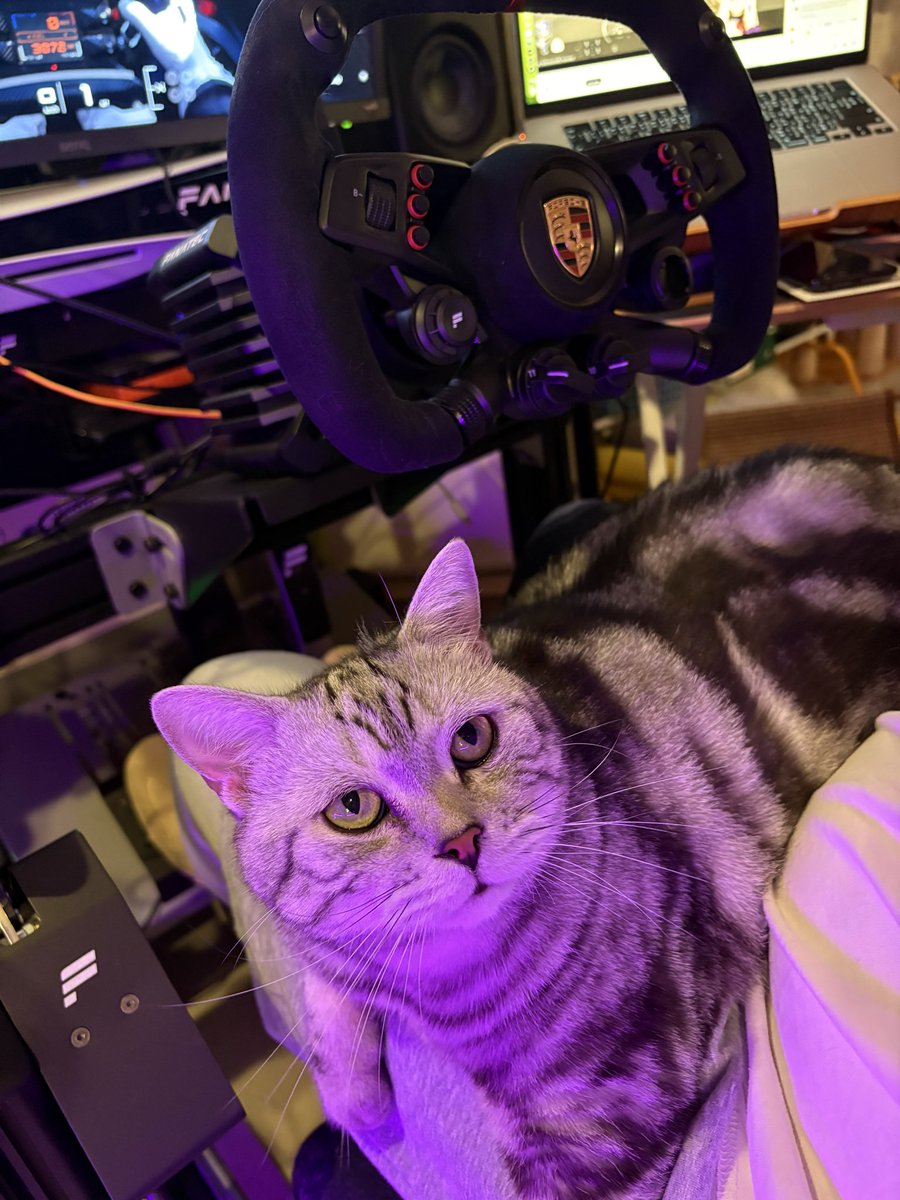 Netiwut's tweet image. はじめまして、しぐるるさん、スティーブです。😆　@sigreruru