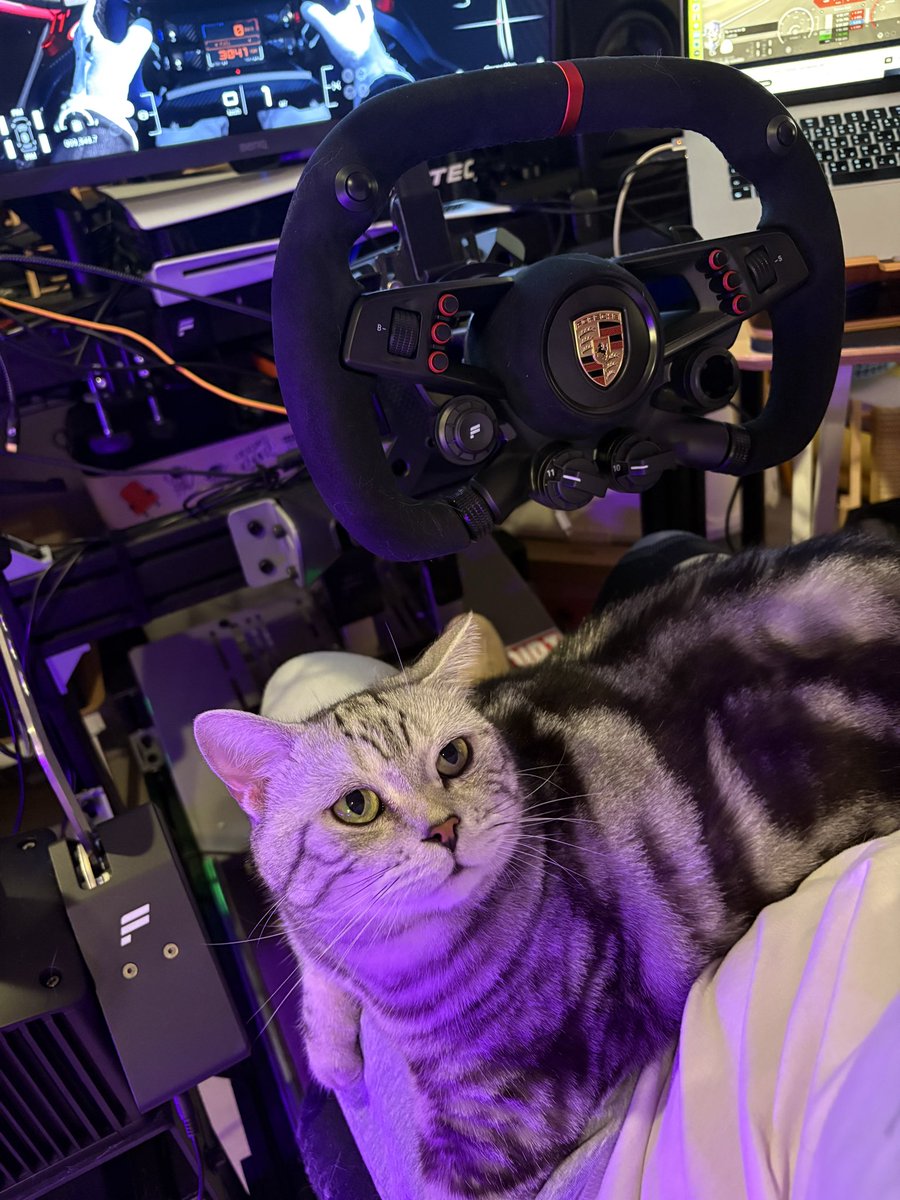 Netiwut's tweet image. はじめまして、しぐるるさん、スティーブです。😆　@sigreruru