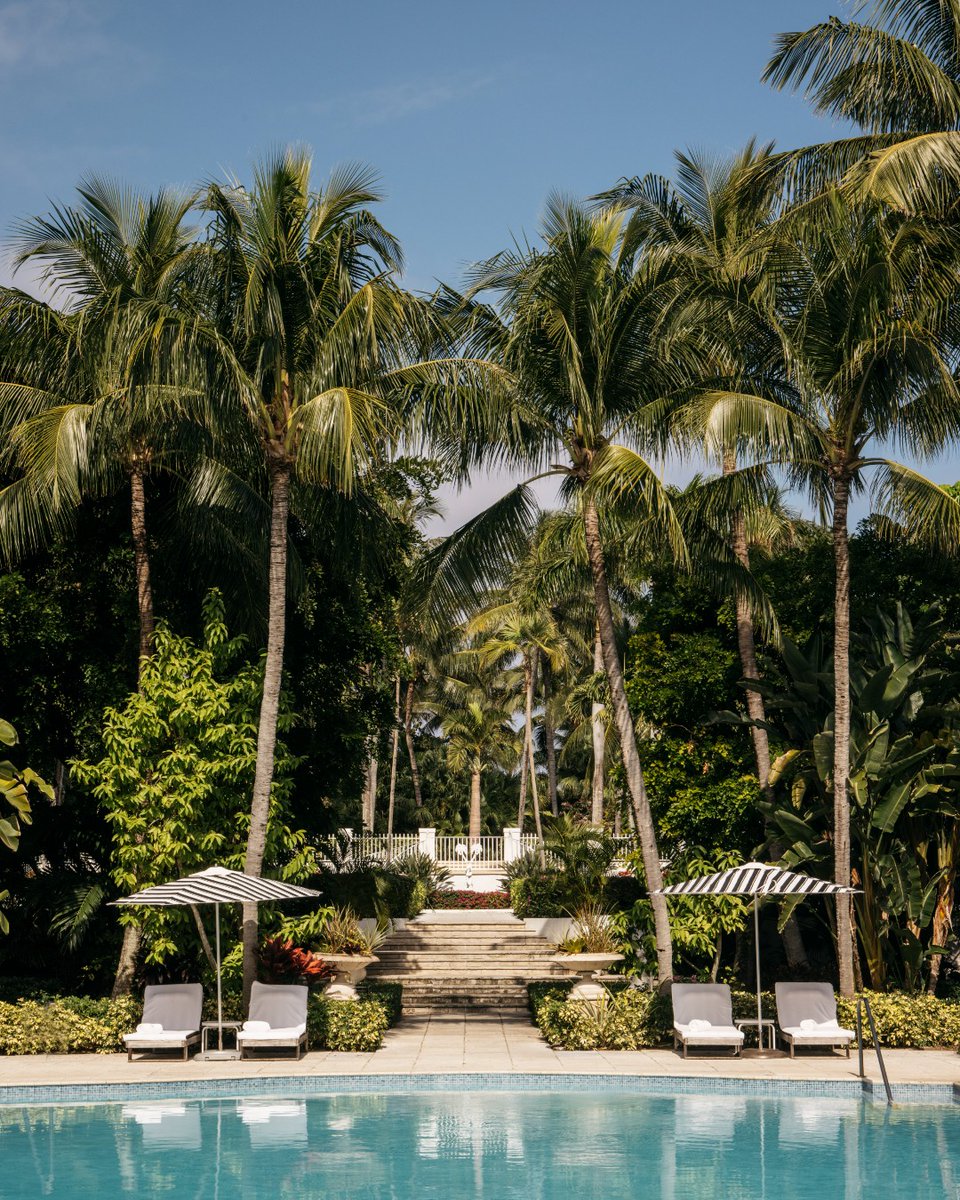Poolside afternoons surrounded by the timeless beauty of the Versailles Gardens, warmed by the Bahamian sun, and embraced by the luxury only #FSOceanClub can offer.

📷 photo by: @tale_a_guest

#FourSeasons
