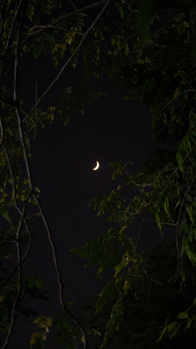🌙
