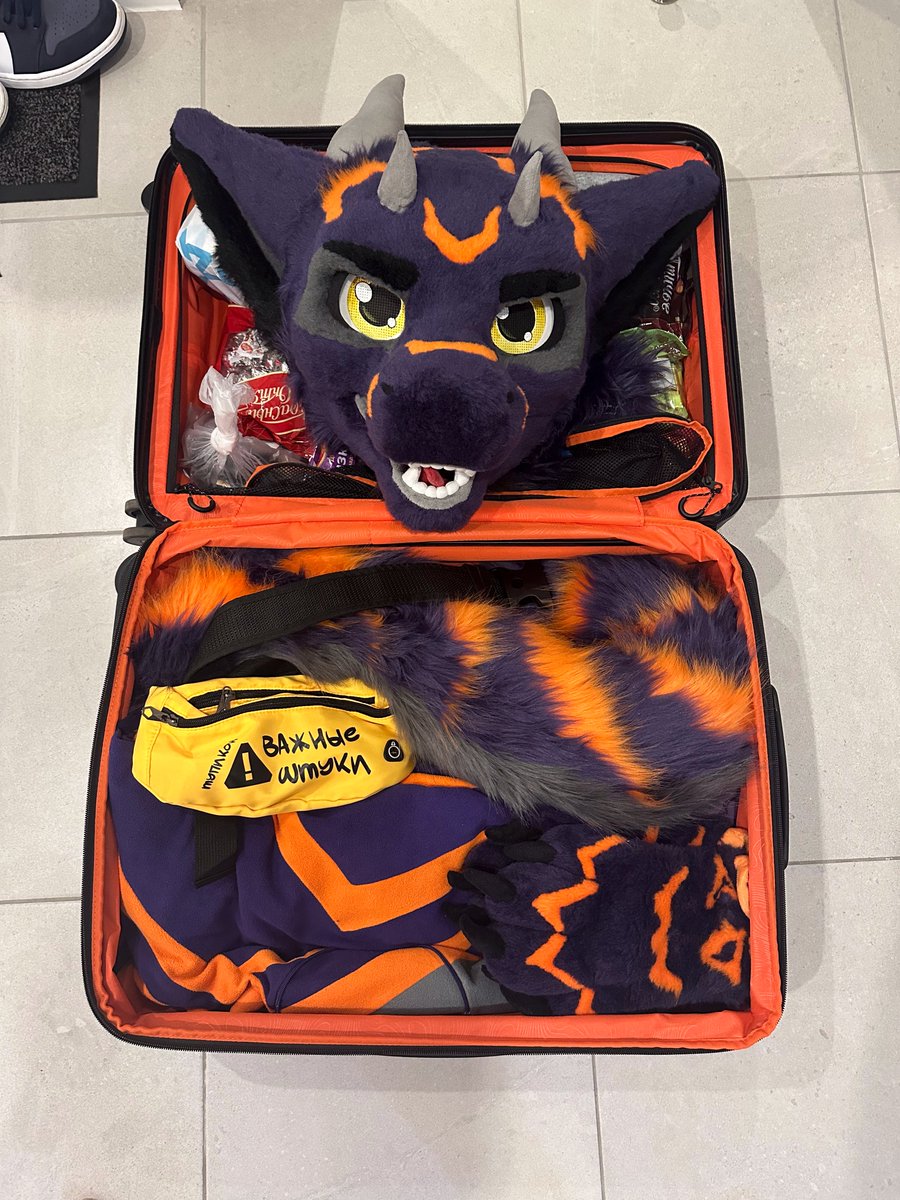 kobrre's tweet photo. All the important stuff’s packed, finally ready for Infurnity https://t.co/pOdfwZh95S