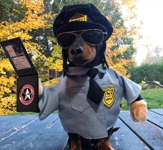 Lpm nos descubriste <a href="/fedepopgold/">Fede Popgold</a>
#PatriaYFamilia