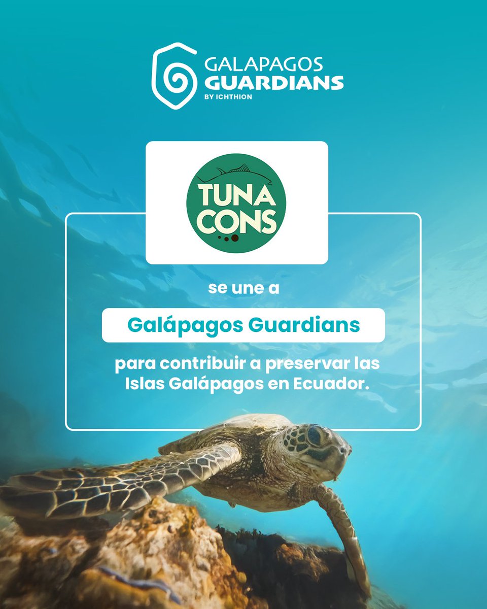 ichthion's tweet image. Damos la bienvenida a @TUNACONSorg como nuevo Guardián de Galápagos.

Su liderazgo en pesca responsable y conservación marina se une a nuestra misión de proteger el océano. 🐟💙

Impulsaremos un programa de incentivos para la recolección de plásticos con pescadores de Guayaquil.