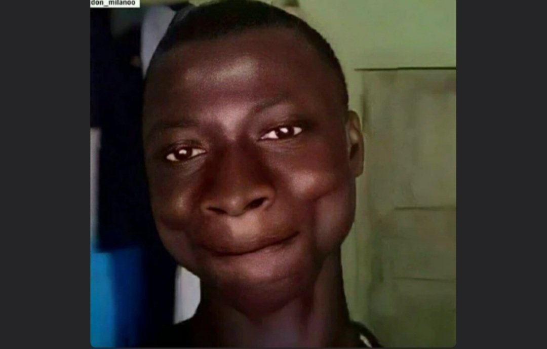 Phoenix Sire tweet media