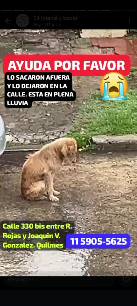 patripeyrou's tweet image. Rt
Diganle que la vida es boomerang