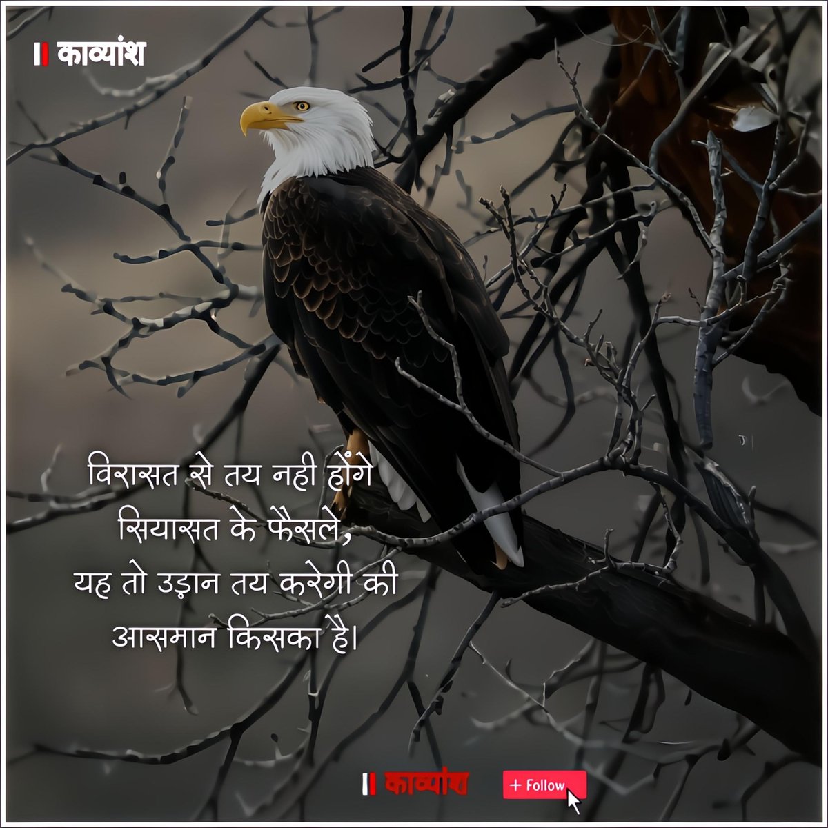 विरासत से तय नहीं होंगे सियासत के फैसले, 
यह तो उड़ान तय करेगी की आसमान किसका है..!!✨✨