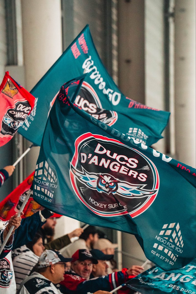 Les Ducs d'Angers tweet media