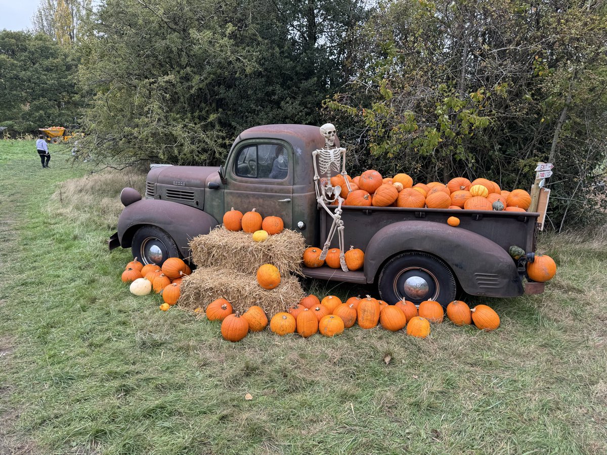 Robtankwight08's tweet photo. @Syndicate @The110Farm It was an awesome day you have done all the viewer’sand supporters proud we look forward to next year. https://t.co/HyFgPlkgzR