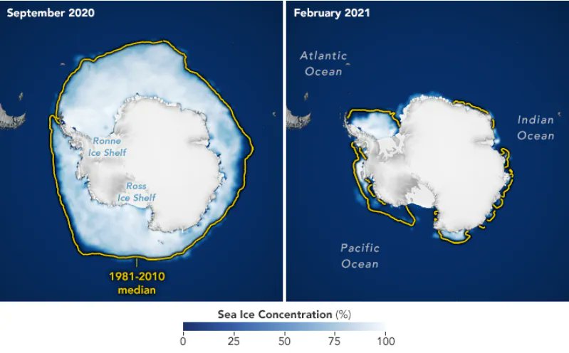 MarketerNCust's tweet image. Are #Antarctica's days numbered? asks @StevenChown1 of @MonashUni #COP26 wef.ch/3ES25Gb
rt @wef