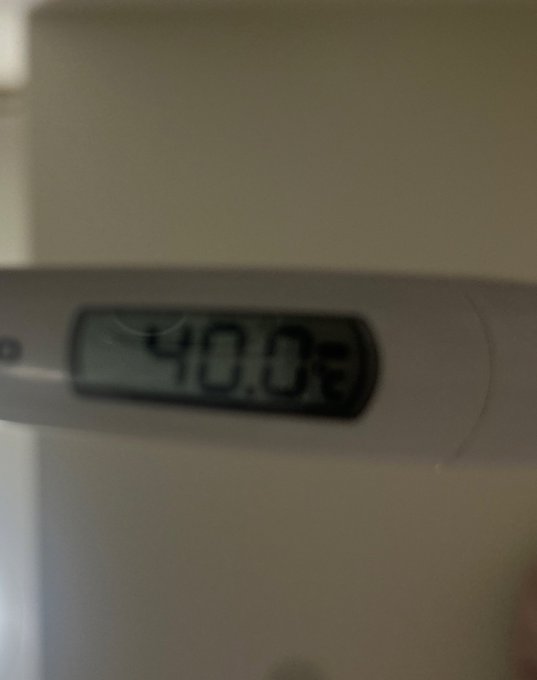 Classy Princessのツイート