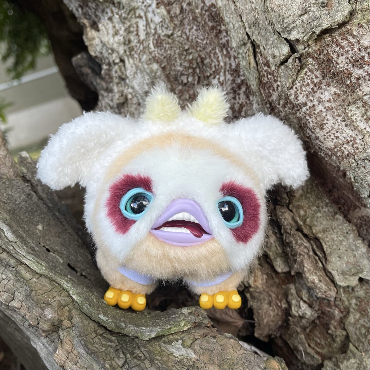 偶然立ち寄った「永井豪エキスポ」にて、
baccanさん（<a href="/baccan_jp/">baccan</a> ）のORBY 妖鳥シレーヌver.と出会ってしまいました。

まん丸大きなお目々にすっかり魅了され…堪らない可愛さ。

どうぞよろしくね❤️